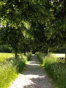 Groupe thérapeutique avec&nbsp;IFS